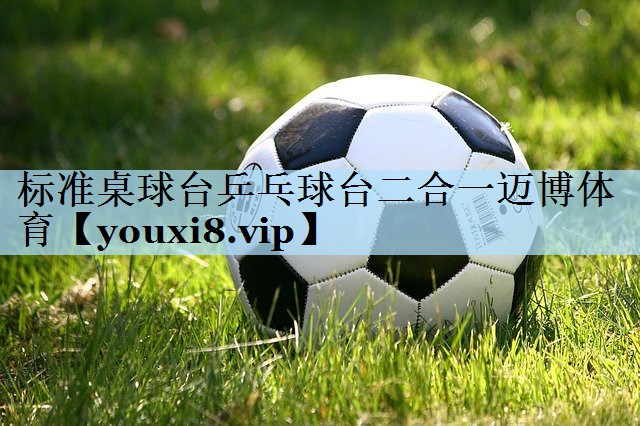 标准桌球台乒乓球台二合一迈博体育
