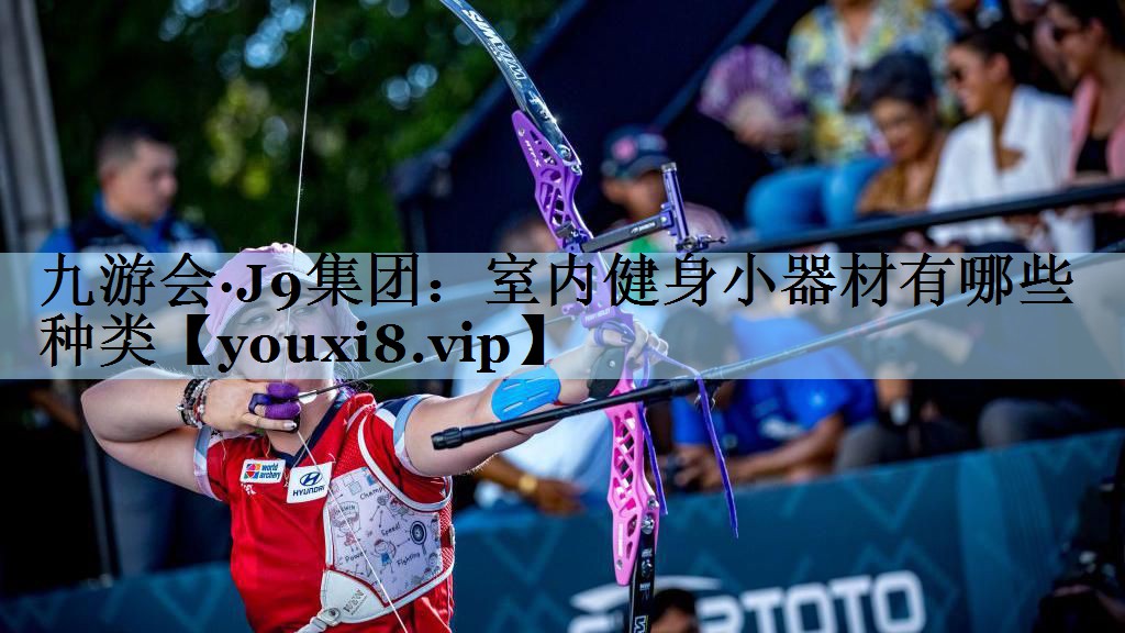 九游会·J9集团:室内健身小器材有哪些种类